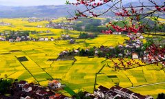 陕南美丽宜居村镇带动区 